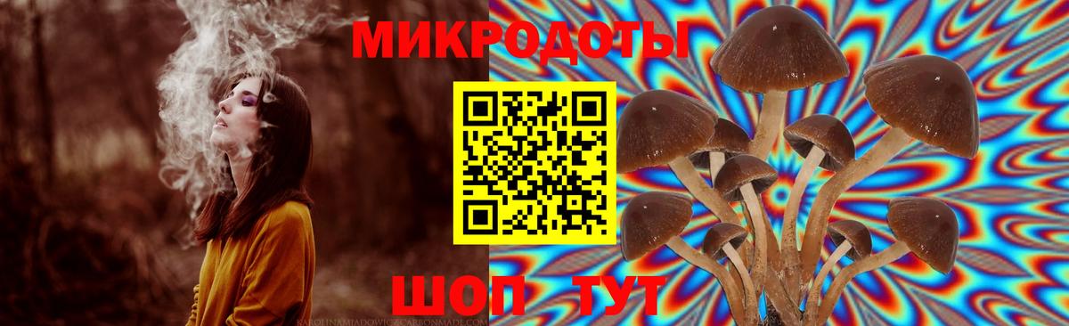 Галлюциногенные грибы GOLDEN TEACHER  Вход с VPN  Котельники 